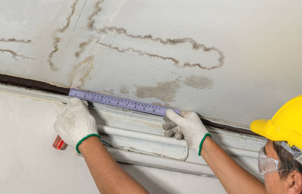 Reliable Structural Drying contractor in Shelton, CT by Water Damage Irwin